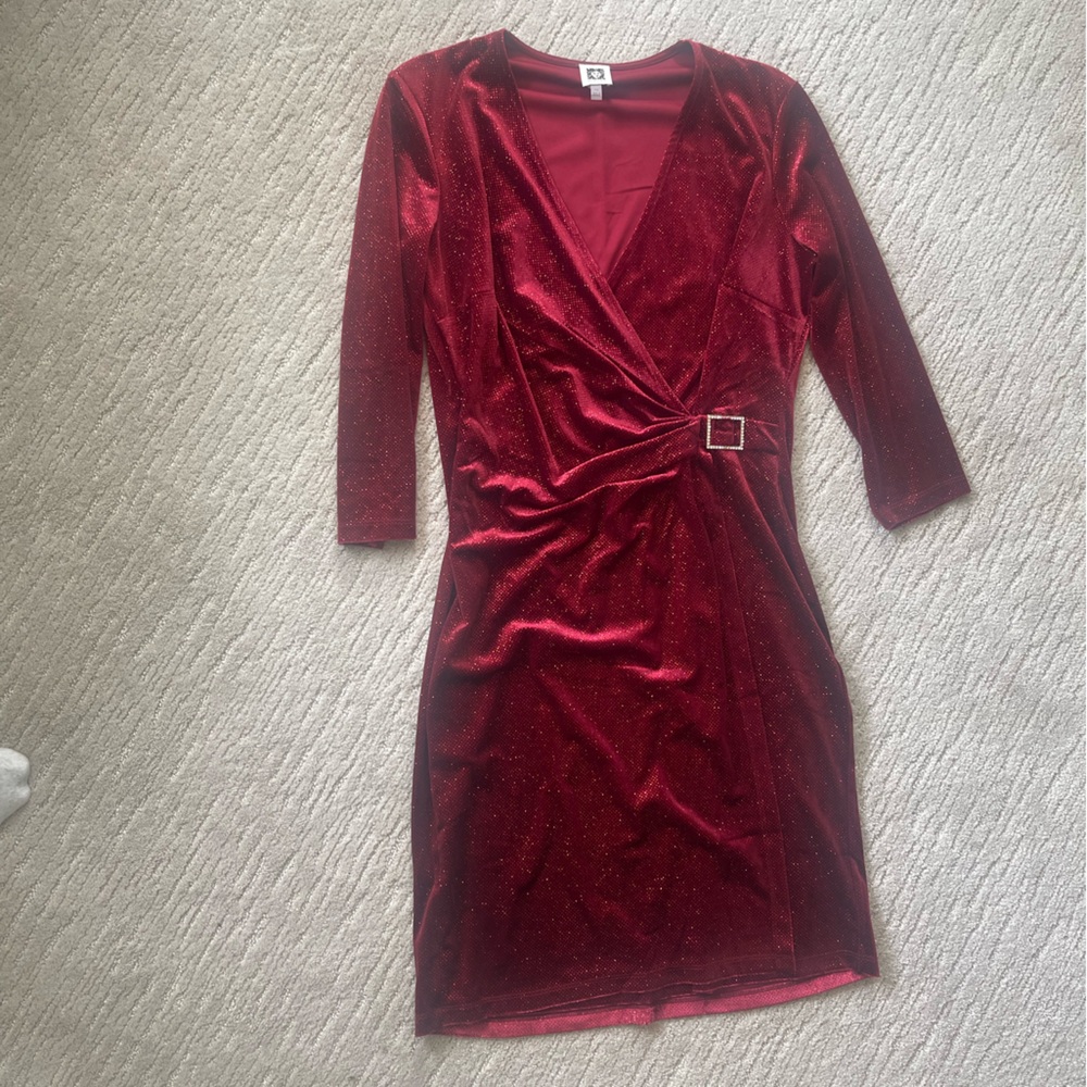Velvet Red Dress